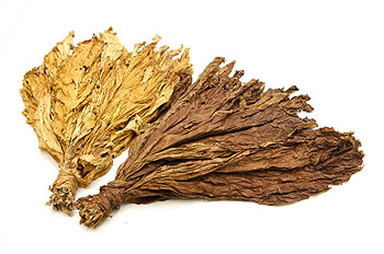 tobacco-leaves